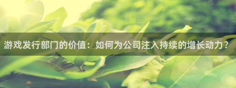 pp电子官网注册方法：游戏发行部门的价值：如何为公司注入持续的增长动力？