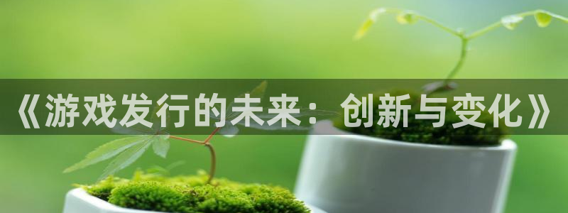pp电子多少钱：《游戏发行的未来：创新与变化》