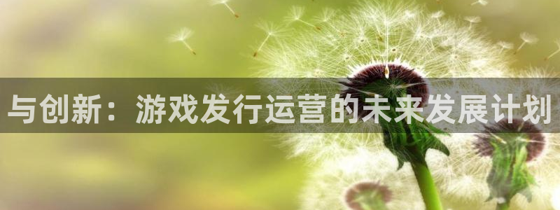 pp电子环境科技有限公司：与创新：游戏发行运营的未来发展计划