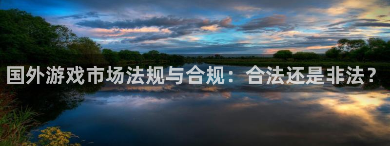 pp电子校服：国外游戏市场法规与合规：合法还是非法？