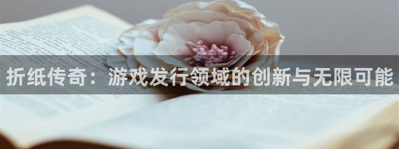 pp电子lvnces官网