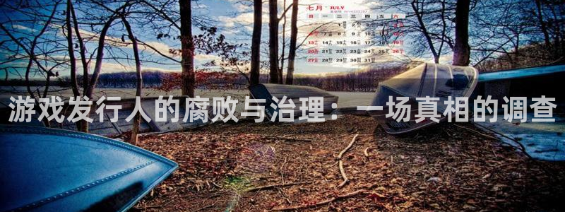 pp电子官网代理注册地址：游戏发行人的腐败与治理：一场真相的调查