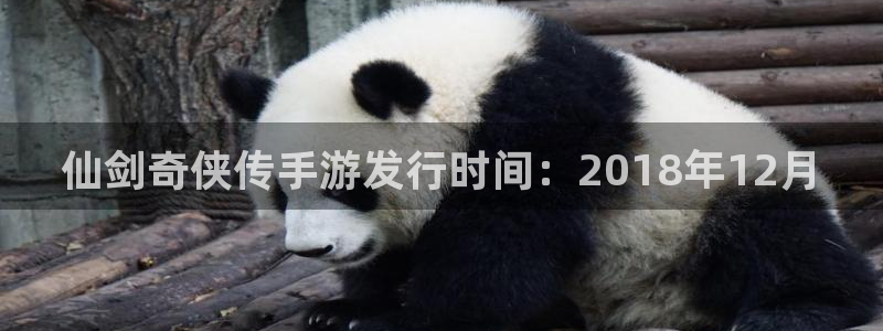 pp电子官网平台代理开号流程