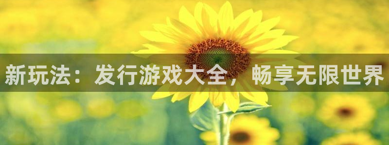 广东pp电子电子商务有限公司