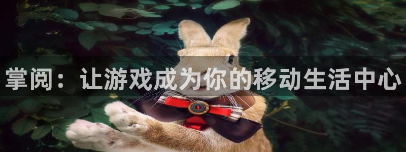 广州pp电子运动服：掌阅：让游戏成为你的移动生活中心