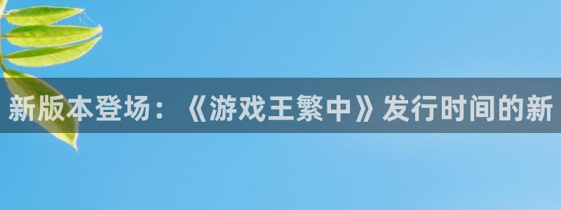 pp电子子市值