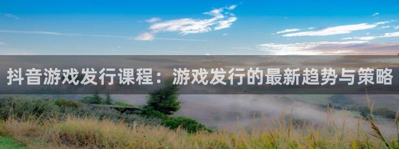 pp电子子集团
