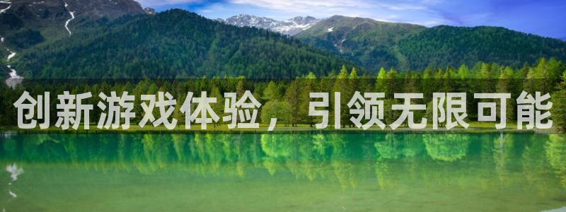 广州pp电子网络科技有限公司怎么样
