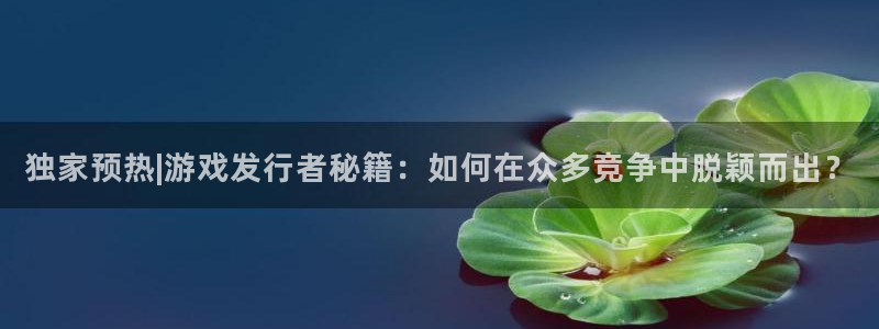 江苏pp电子智得新材料：独家预热|游戏发行者秘籍：如何在众多竞争中脱颖而出？