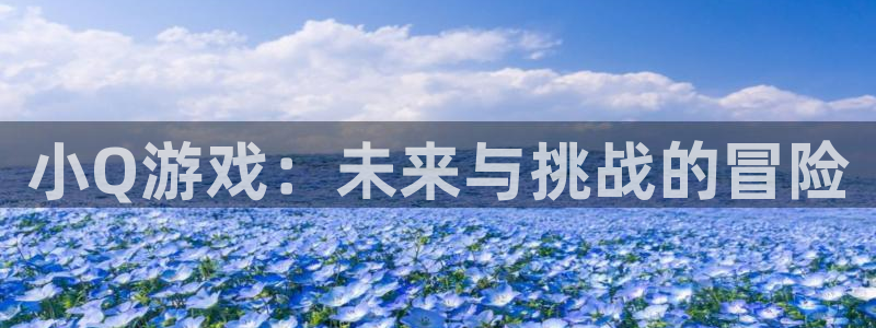 pp电子官网注册平台官网登录：小Q游戏：未来与挑战的冒险