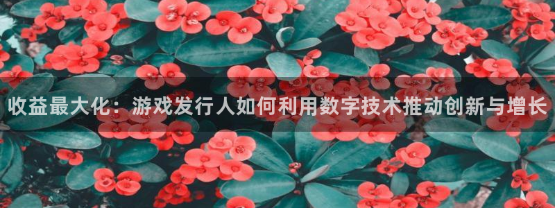 pp电子官网登录注册失败怎么回事：收益最大化：游戏发行人如何利用数字技术推动创新与增长