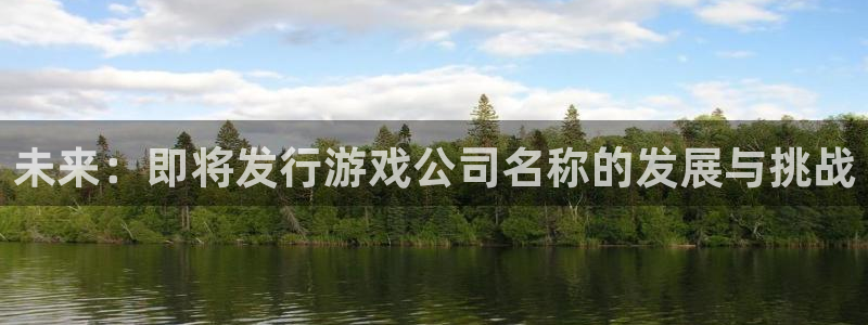 pp电子官网的奇趣腾讯是真的吗吗：未来：即将发行游戏公司名称的发展与挑战
