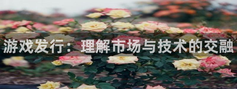 pp电子环境：游戏发行：理解市场与技术的交融