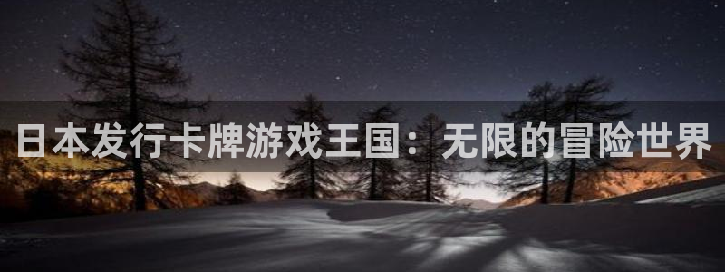 pp电子是什么品牌：日本发行卡牌游戏王国：无限的冒险世界