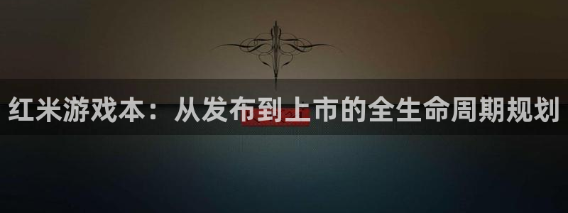 pp电子官网注册登录失败：红米游戏本：从发布到上市的全生命周期规划