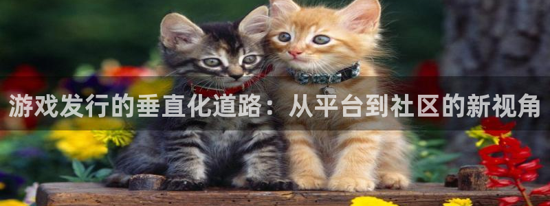 pp电子科技有限公司：游戏发行的垂直化道路：从平台到社区的新视角