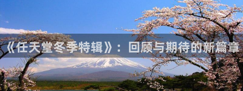 pp电子技术有限公司怎么样