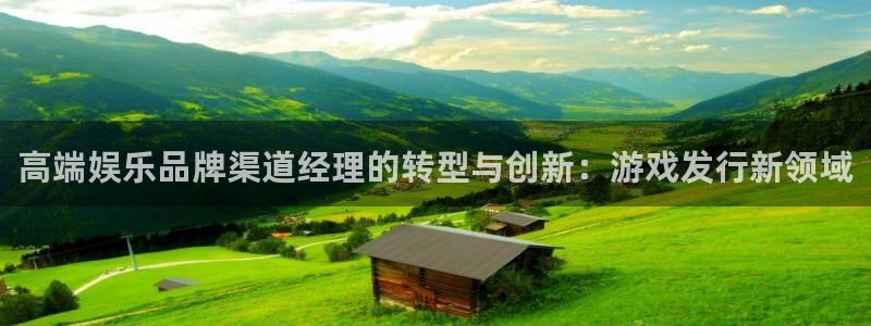 pp电子官网分分彩：高端娱乐品牌渠道经理的转型与创新：游戏发行新领域