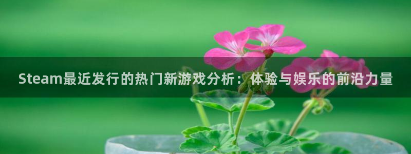 pp电子官网注册平台是什么公司